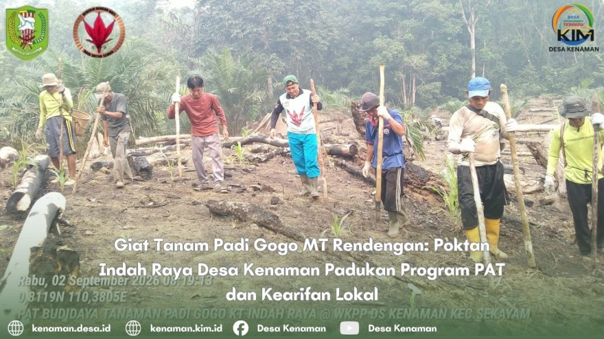 Giat Tanam Padi Gogo MT Rendengan: Poktan Indah Raya Desa Kenaman Padukan Program PAT dan Kearifan Lokal